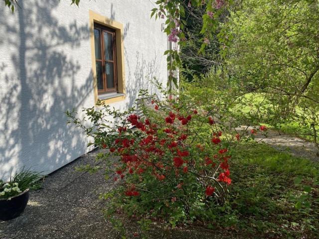 Ferienwohnungen Hanke Barbara Piding Exterior photo